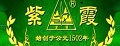 沁雅茗品