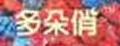 多朵俏