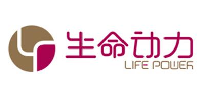生命动力按摩椅