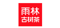 雨林普洱沱茶