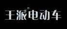 王派三轮电动车
