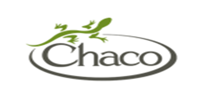 chaco儿童凉鞋