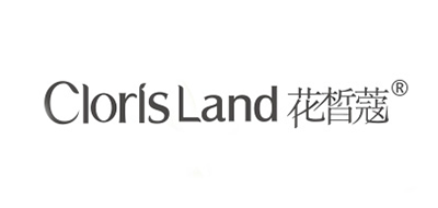 花皙蔻皮革护理剂