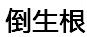 倒生根