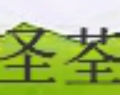 圣荃