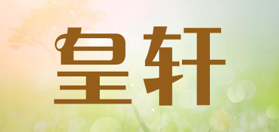 皇轩中控锁