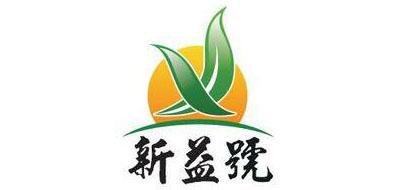 新益号古树茶