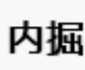 内掘