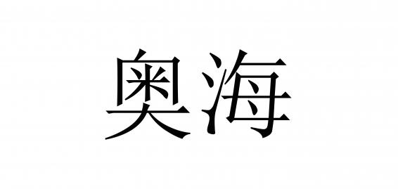 奥海玩具飞机