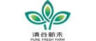 清谷新禾荞麦粉