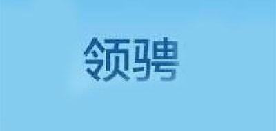 领骋档把套