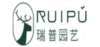 瑞普头发免洗喷雾