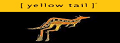 Yellowtail