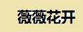 薇薇花开