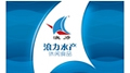 浪力