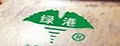 绿港