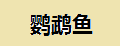 鹦鹉鱼观赏鱼