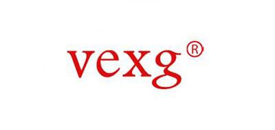 VEXG电机锁
