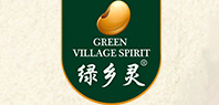 绿乡灵莲子茶