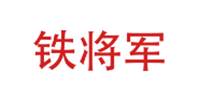 铁将军汽车诊断仪