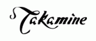 Takamine全单民谣吉他