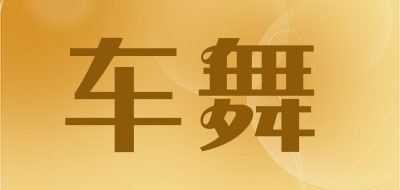 车舞反光贴条