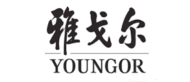 雅戈尔男士保暖衬衫