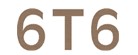 6T6