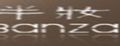半妆