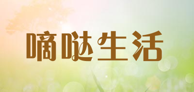 嘀哒生活筷子
