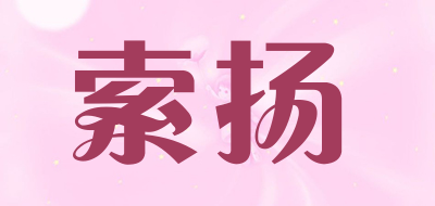 索扬笔记本充电宝