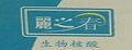 丽之春
