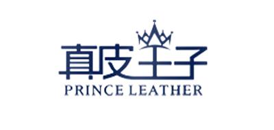 真皮王子欧式门把手