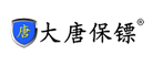 大唐保镖七类网线