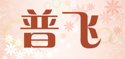 普飞
