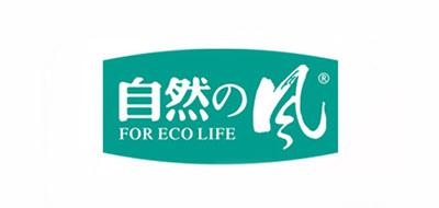 自然的风悬挂花架