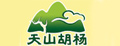 天山胡杨