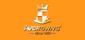 AVCROWNS蓝牙功放机