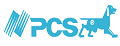PCS电动洁面仪