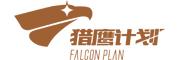 猎鹰计划