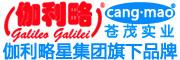 伽利略齿轮泵