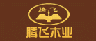腾飞
