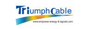 Triumph Cable光纤音频线