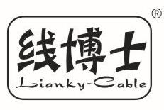 线博士