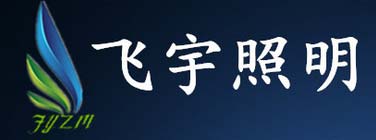 飞宇照明