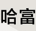 哈富