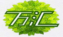 万汇
