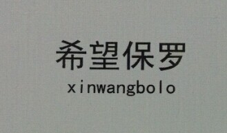 希望保罗