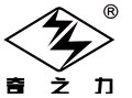 奇之力
