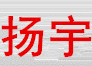 扬宇